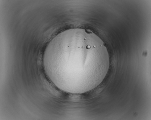 X0000113000181200909171415