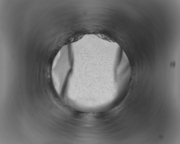 X0000113000182200909171415