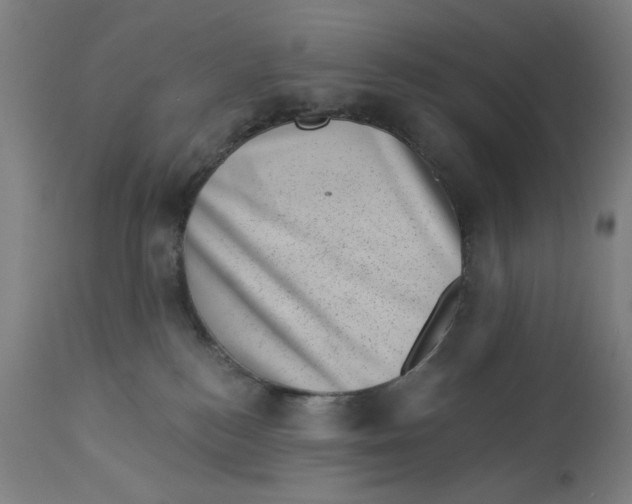 X0000113000184200909171415