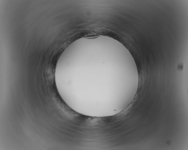 X0000113000186200909171415