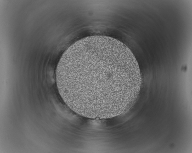 X0000113000187200909171415