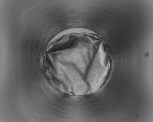 X0000113000190200909171415