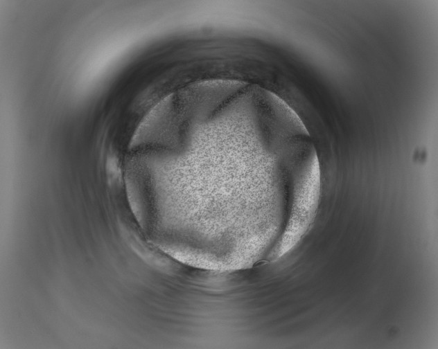 X0000113000191200909171415