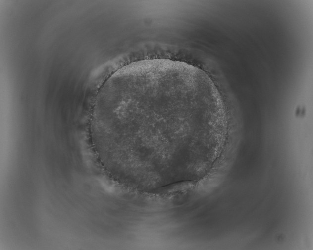 X0000113000192200909171415