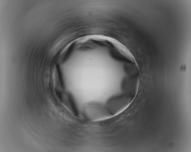 X0000113000194200909171414