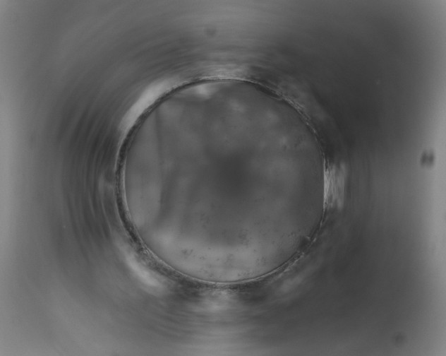 X0000113000195200909171414