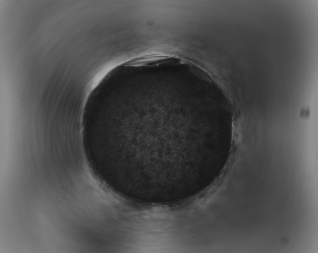 X0000113000196200909171414