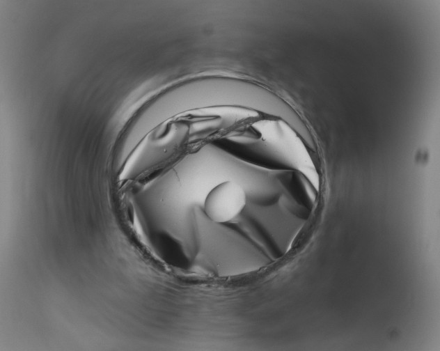 X0000113000199200909171414