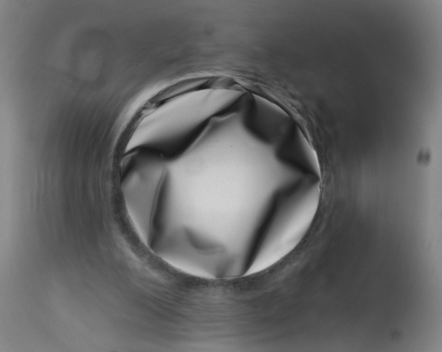 X0000113000200200909171414