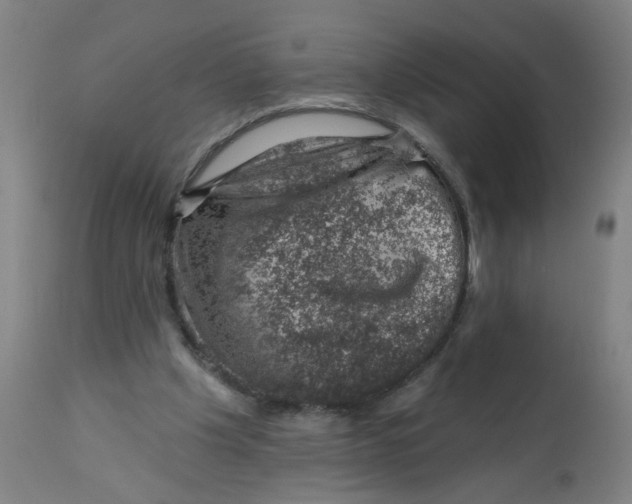 X0000113000201200909171414