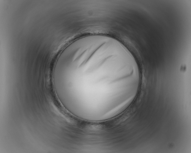 X0000113000202200909171414