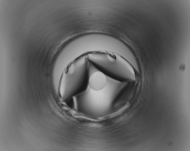 X0000113000203200909171414