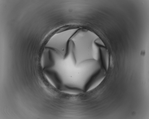 X0000113000204200909171414