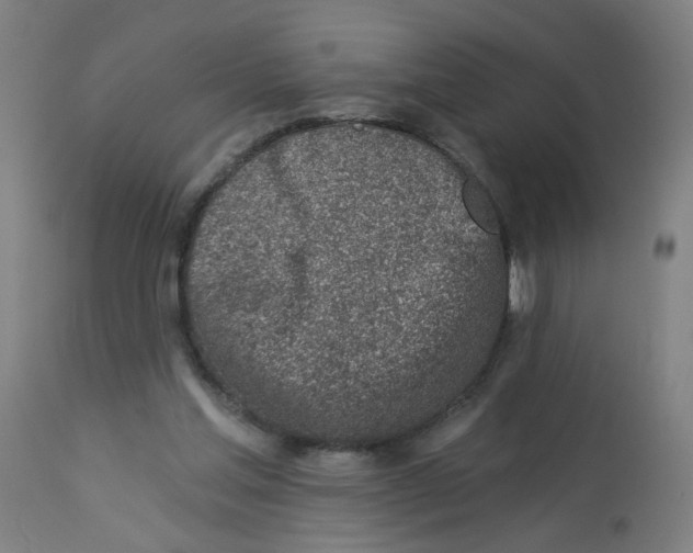 X0000113000205200909171414