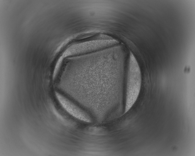 X0000113000208200909171414