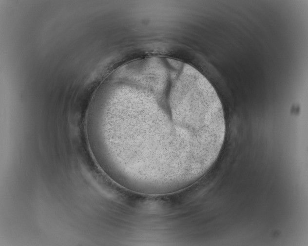 X0000113000209200909171414