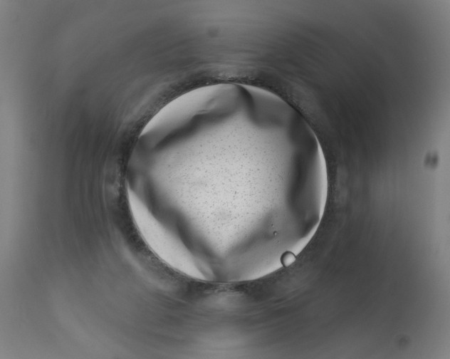 X0000113000210200909171414