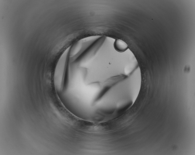 X0000113000212200909171414