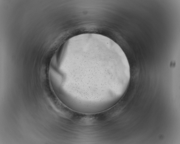 X0000113000213200909171414