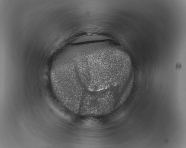 X0000113000215200909171414