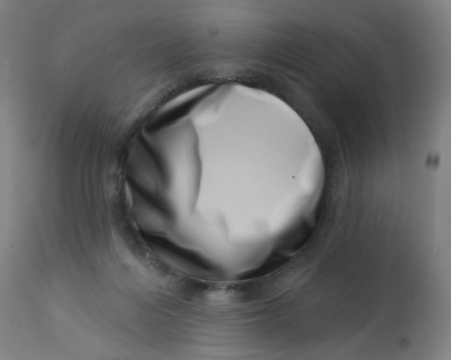 X0000113000216200909171414