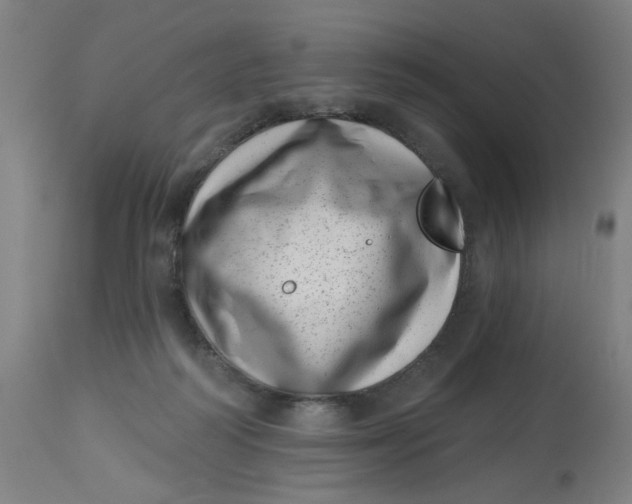 X0000113000218200909171414