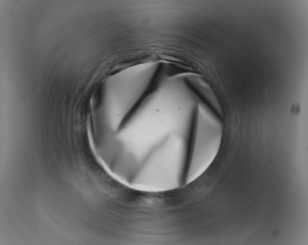 X0000113000220200909171414