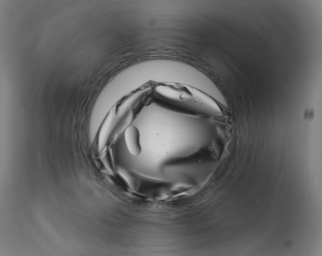 X0000113000223200909171414