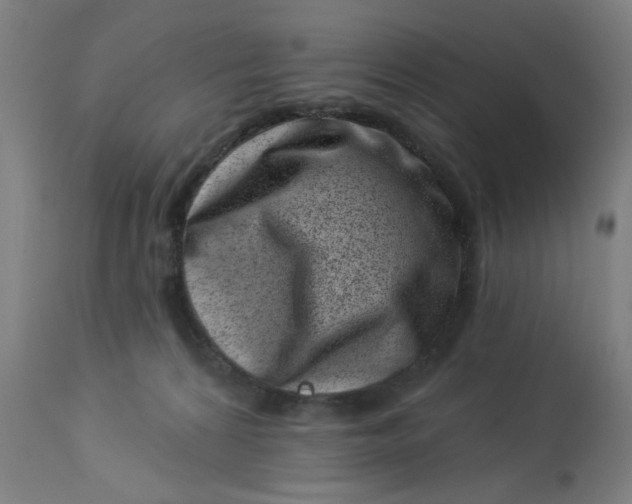 X0000113000224200909171414