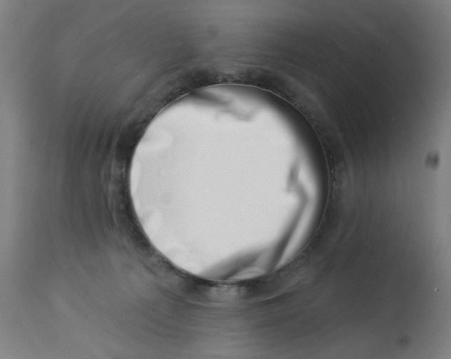 X0000113000225200909171414