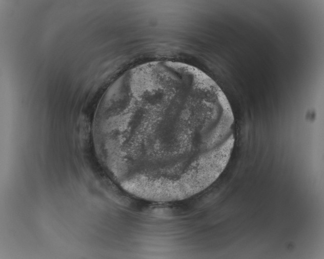 X0000113000228200909171414