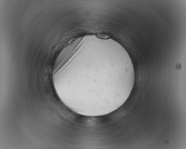 X0000113000229200909171414