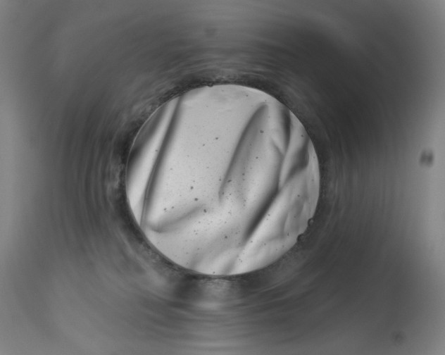 X0000113000230200909171414