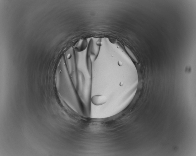 X0000113000231200909171414