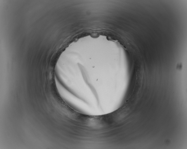 X0000113000232200909171414