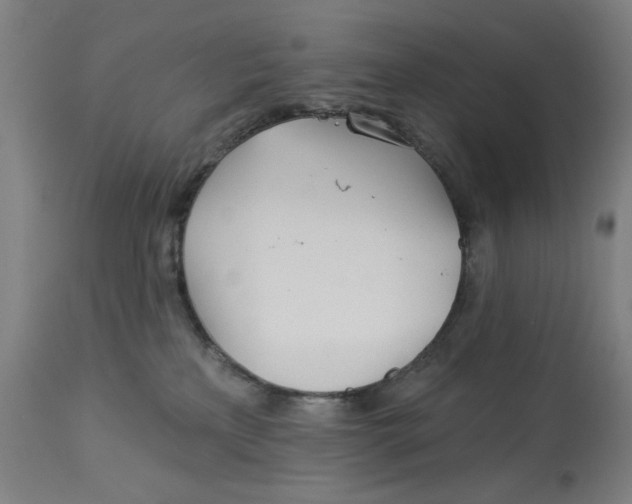 X0000113000233200909171414