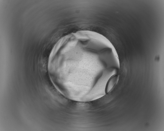 X0000113000234200909171414