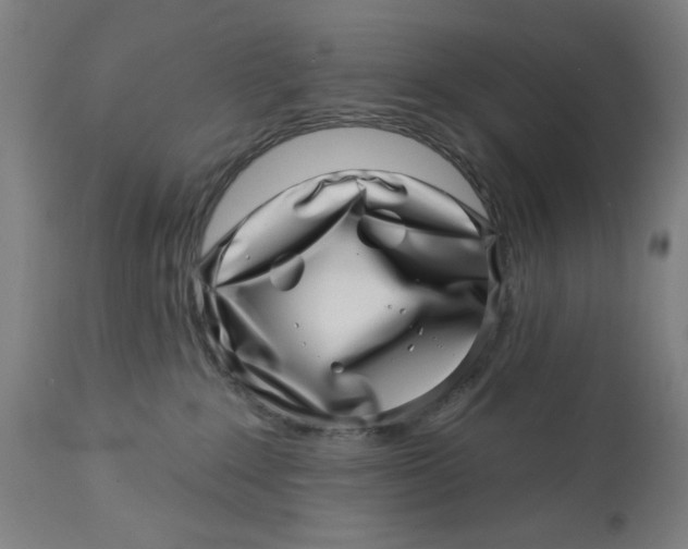 X0000113000235200909171414