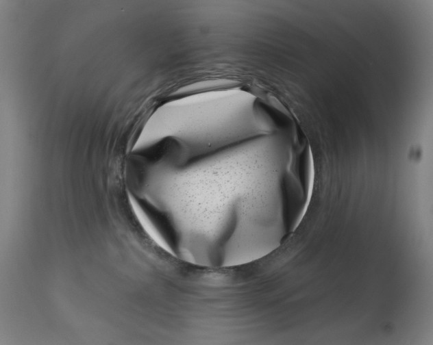 X0000113000236200909171413