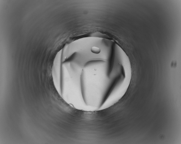 X0000113000240200909171413