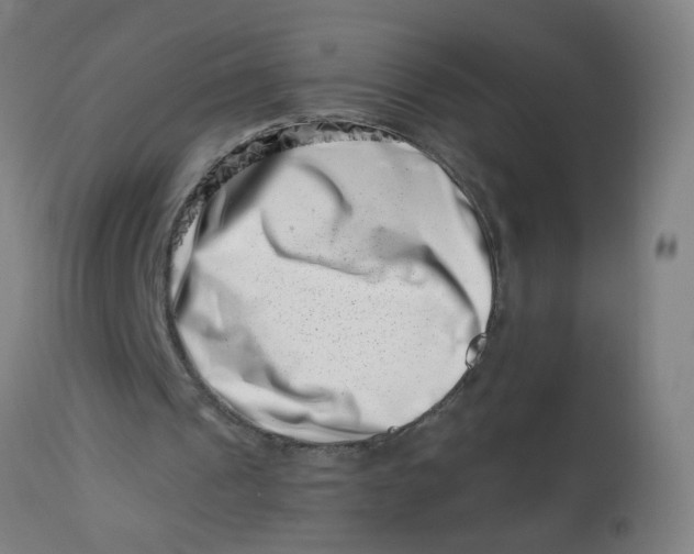 X0000113000241200909171413