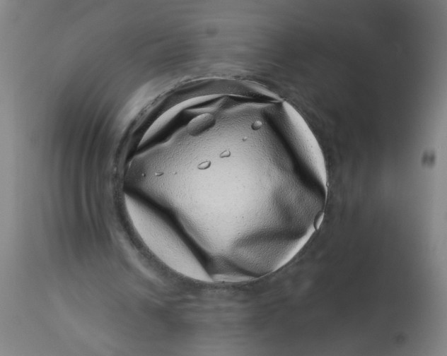 X0000113000242200909171413