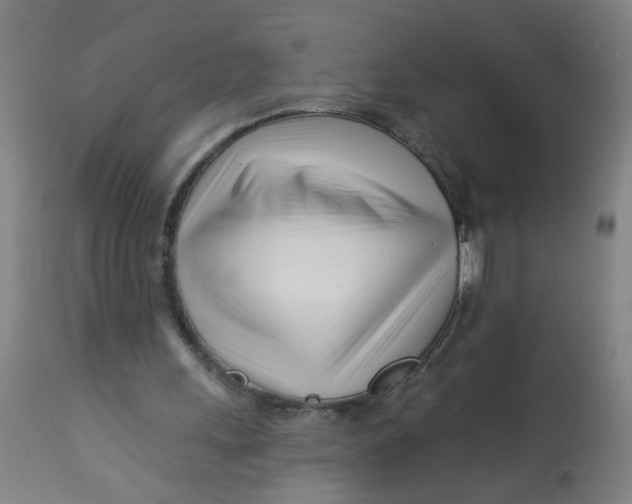 X0000113000243200909171413