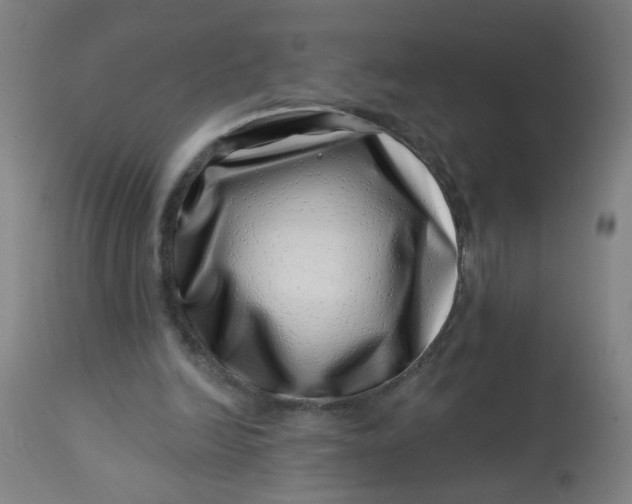 X0000113000246200909171413