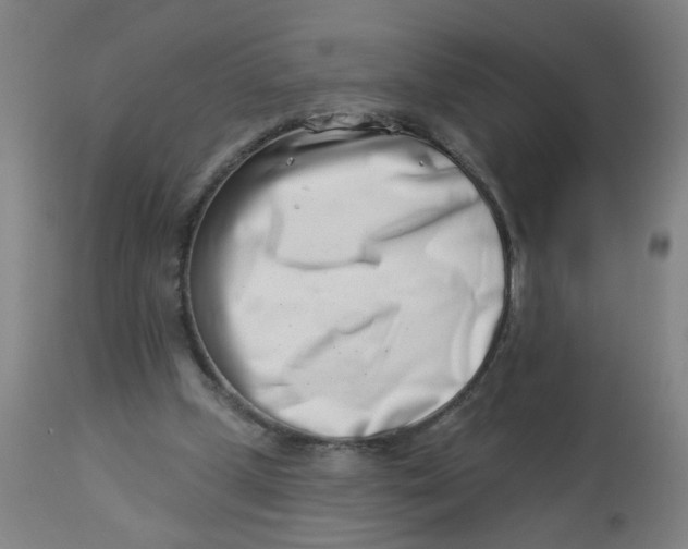 X0000113000249200909171413