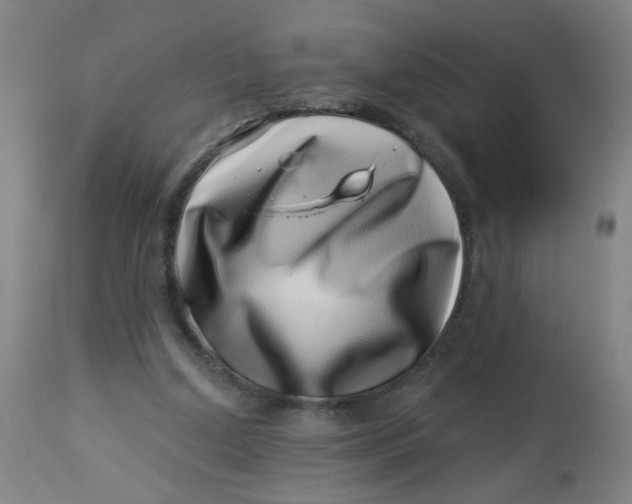 X0000113000250200909171413