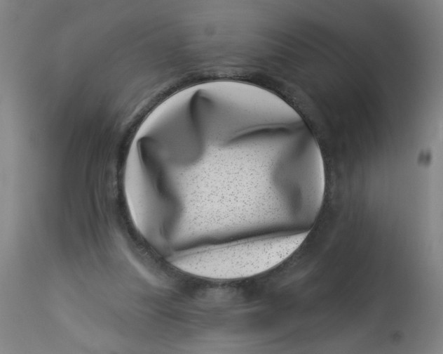 X0000113000251200909171413