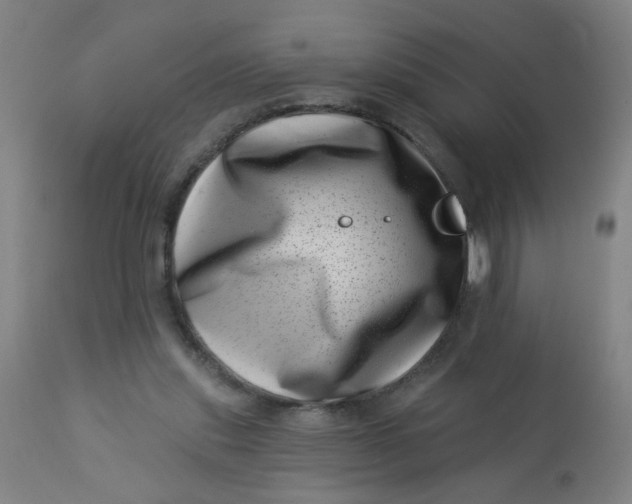 X0000113000253200909171413