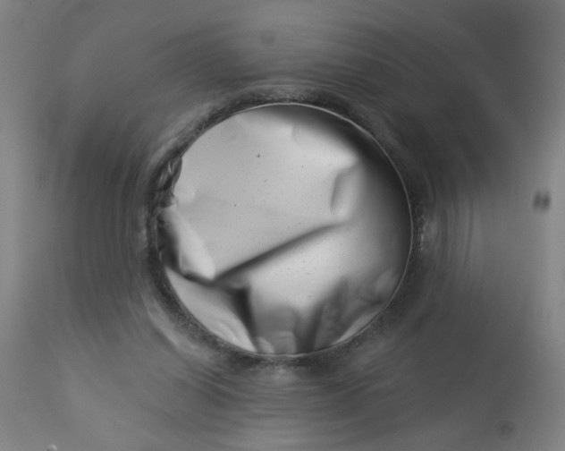 X0000113000254200909171413