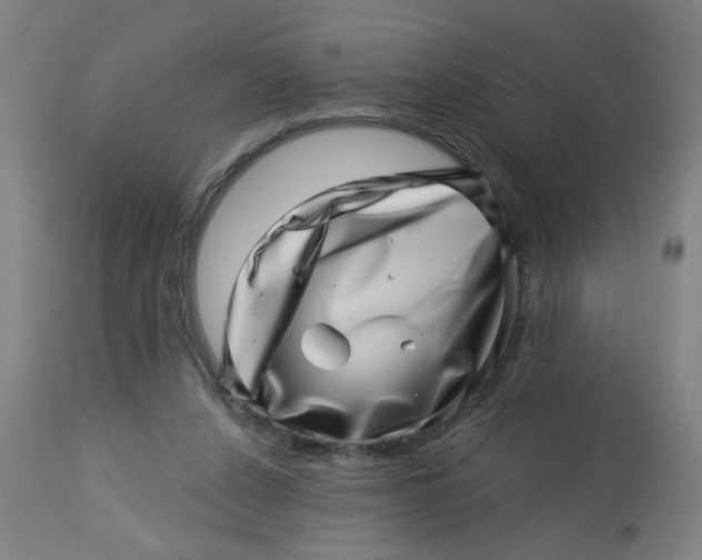 X0000113000256200909171413